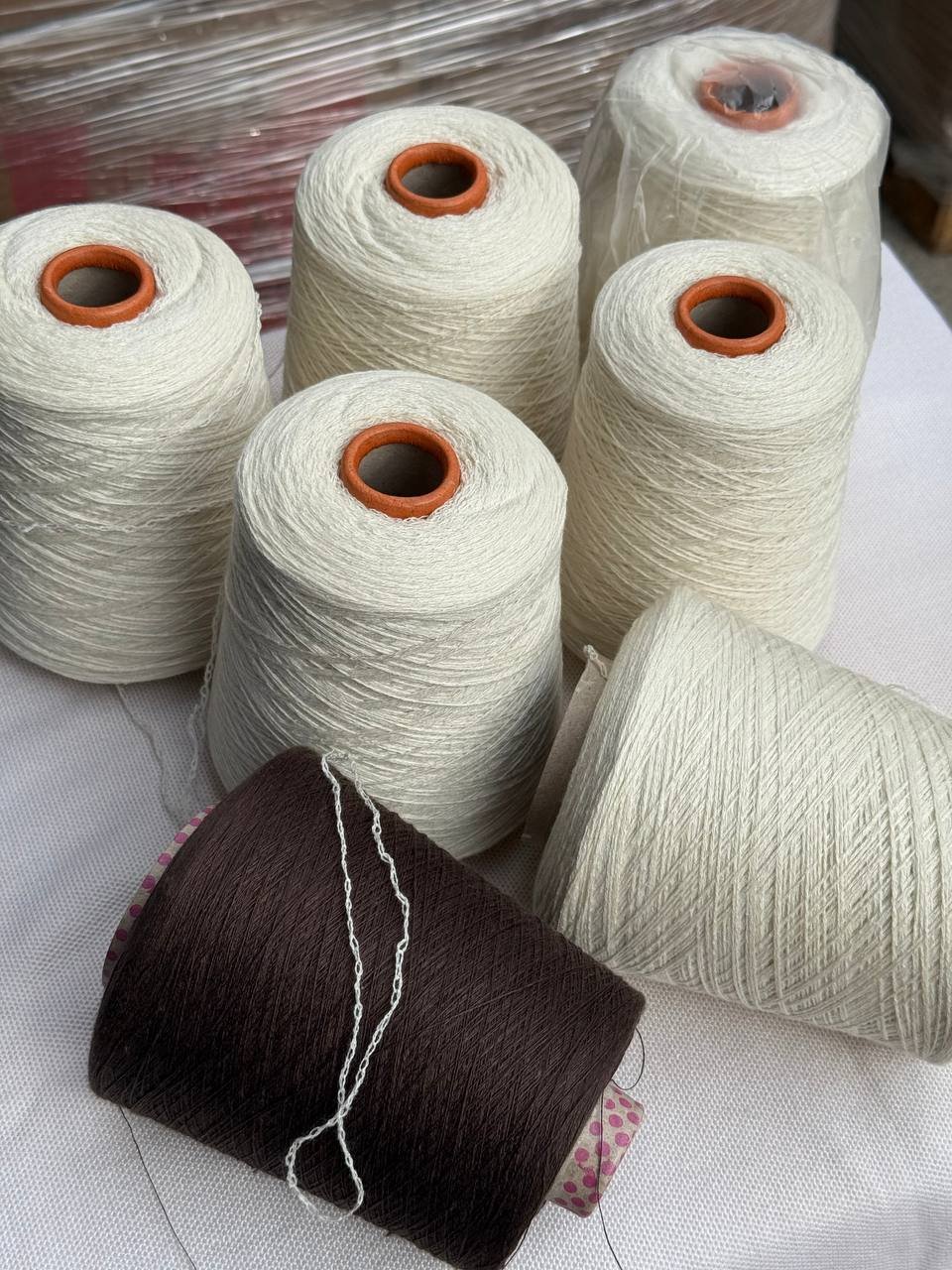 ASTORIA - 100%WS yarn - by Zegna Baruffa